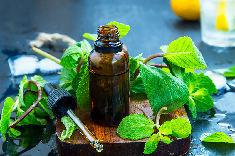 Key Benefits - Peppermint Leaf (France)